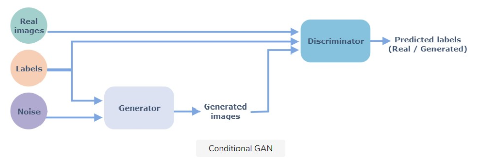 Model architecture of conditional GAN